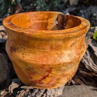 Flaming box elder burl