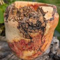 Flaming box elder burl