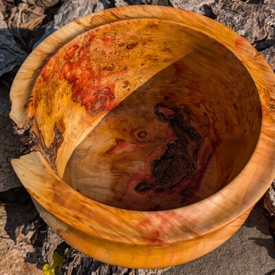 Flaming box elder burl