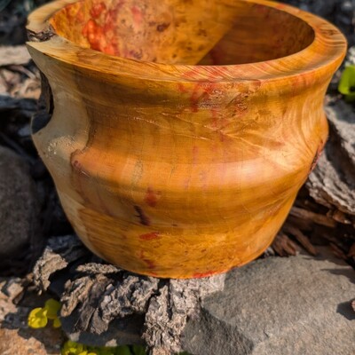 Flaming box elder burl