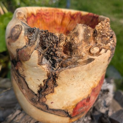 Flaming box elder burl