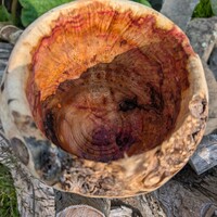 Flaming box elder burl