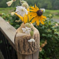 White Mulberry small flower vase