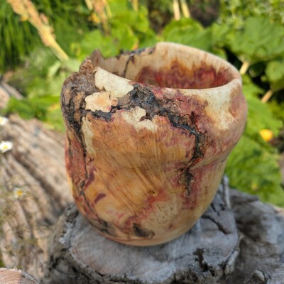 Flaming box elder burl