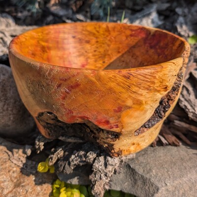 Flaming box elder burl