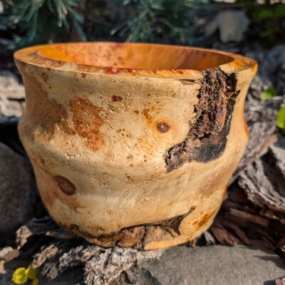 Flaming box elder burl