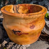 Flaming box elder burl