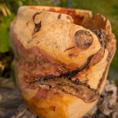 Flaming box elder burl