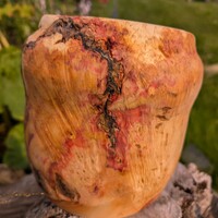 Flaming box elder burl